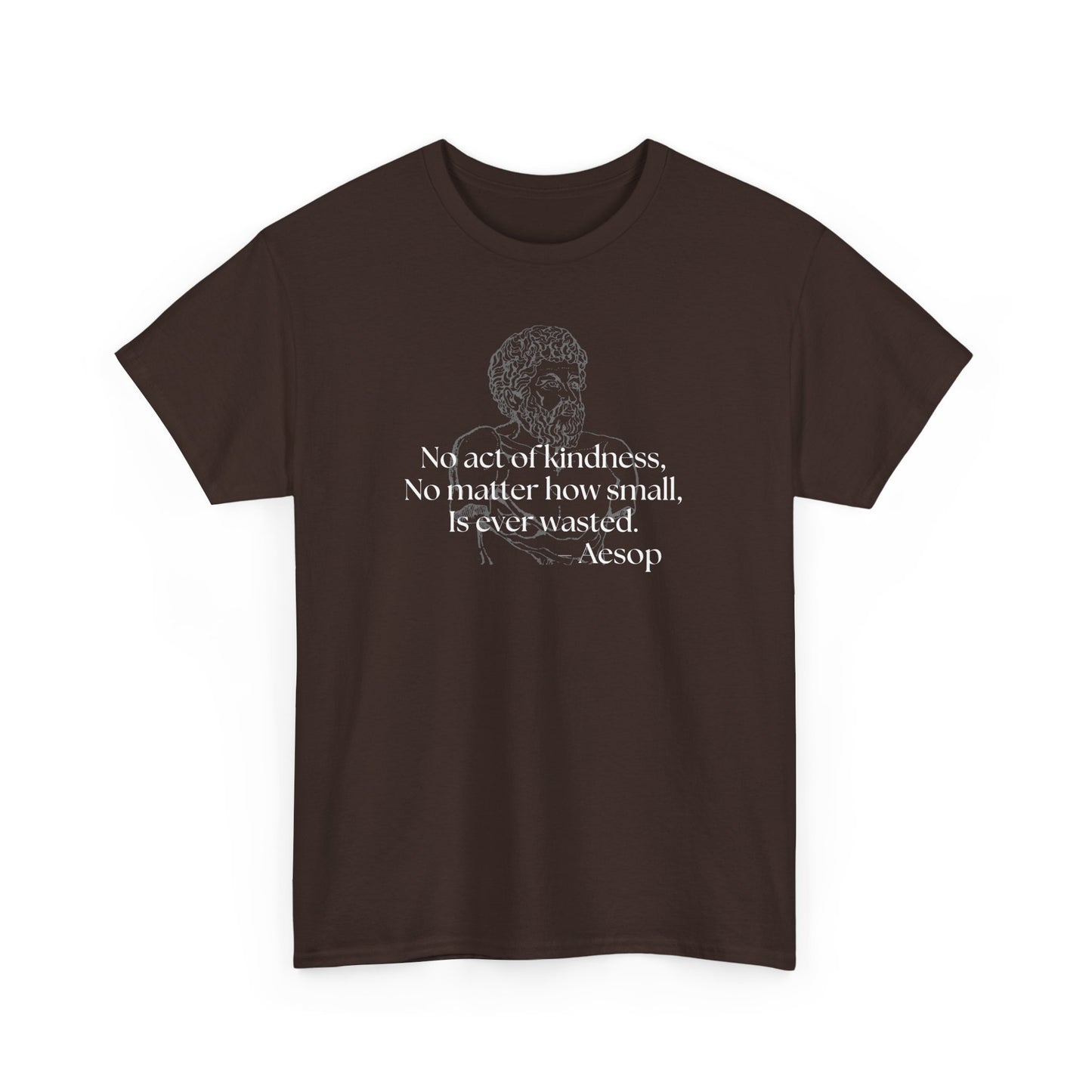 Inspirational Aesop Quote Unisex Heavy Cotton Tee