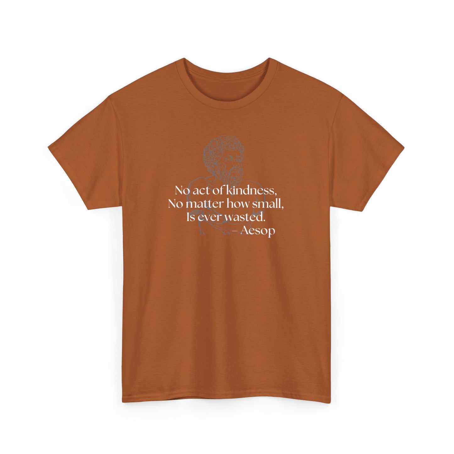 Inspirational Aesop Quote Unisex Heavy Cotton Tee