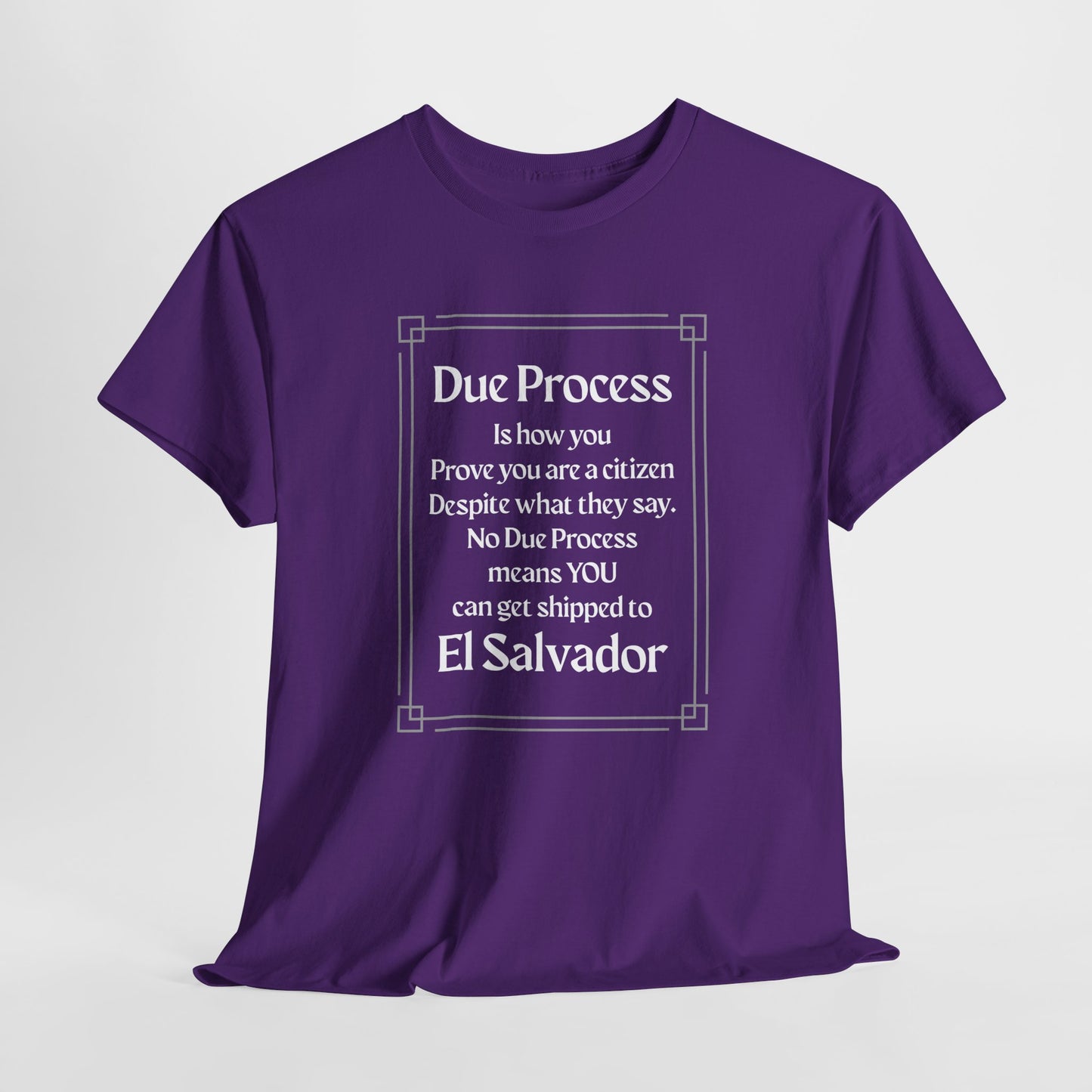 Unisex Heavy Cotton Tee - 'Due Process' Statement Tee for Advocates