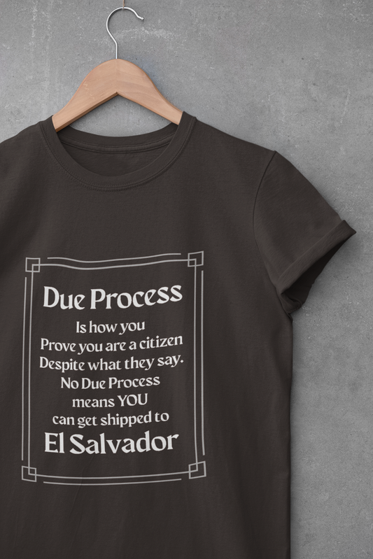Unisex Heavy Cotton Tee - 'Due Process' Statement Tee for Advocates