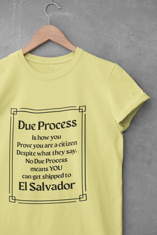 Due Process Unisex Heavy Cotton Tee - Statement T-Shirt for Advocates