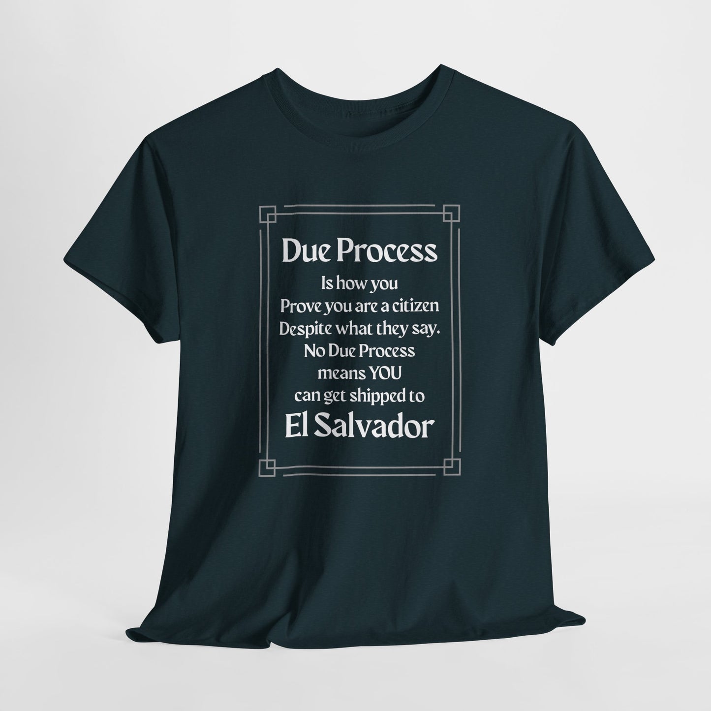 Unisex Heavy Cotton Tee - 'Due Process' Statement Tee for Advocates